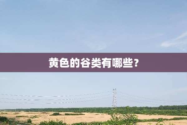 **的谷类有哪些？