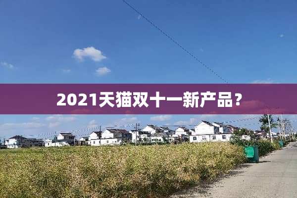 2021天猫双十一新产品？