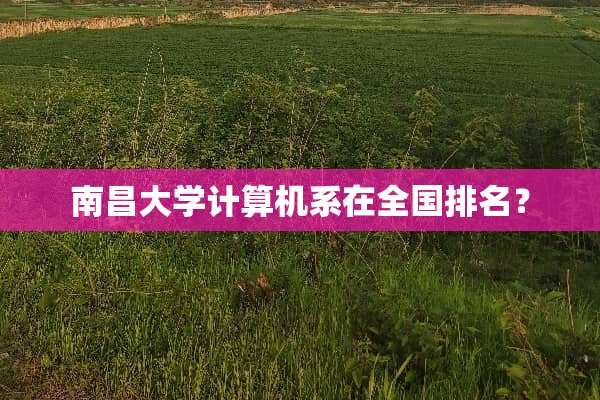 南昌大学计算机系在全国排名？