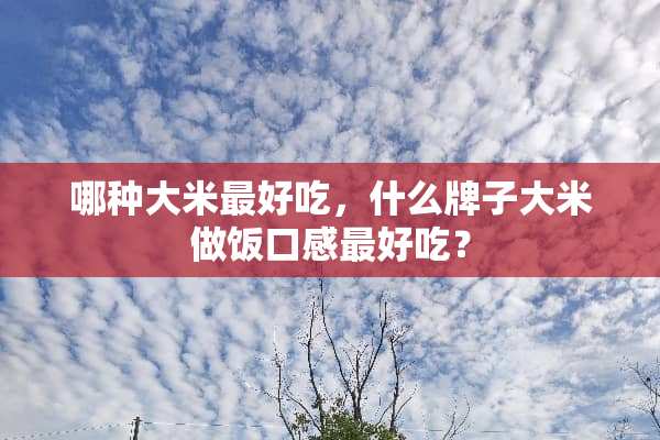 哪种大米最好吃，什么牌子大米做饭口感最好吃？