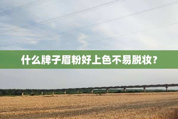 什么牌子眉粉好上色不易脱妆？