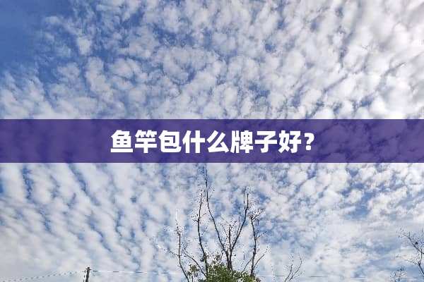 鱼竿包什么牌子好？