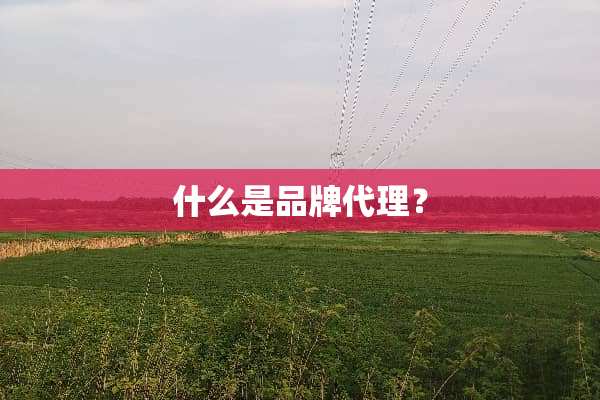 什么是品牌代理？