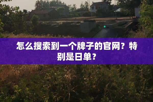怎么搜索到一个牌子的官网？特别是日单？