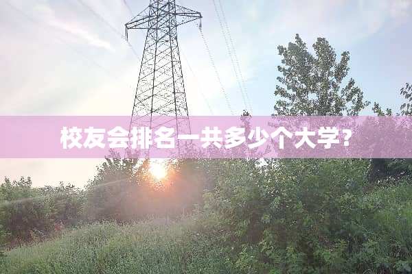 校友会排名一共多少个大学？