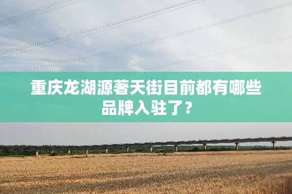 重庆龙湖源著天街目前都有哪些品牌入驻了？