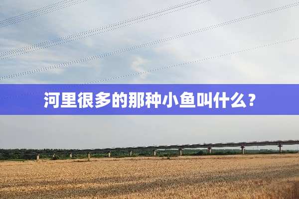 河里很多的那种小鱼叫什么？