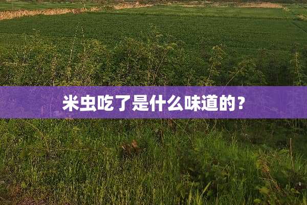 米虫吃了是什么味道的？