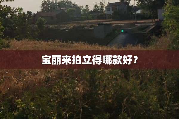 宝丽来拍立得哪款好？
