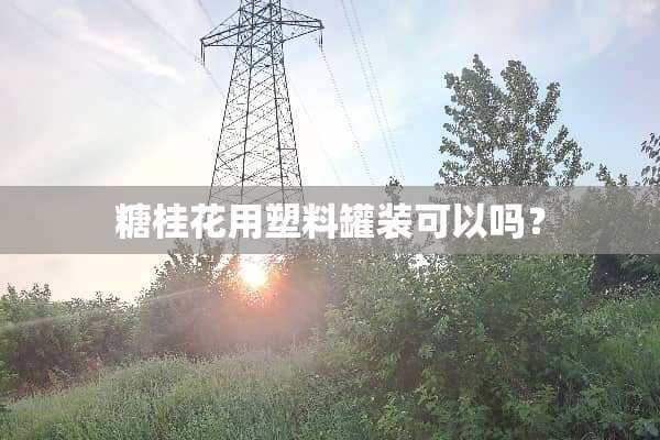 糖桂花用塑料罐装可以吗？