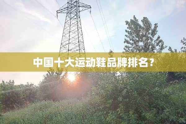 中国十大运动鞋品牌排名？