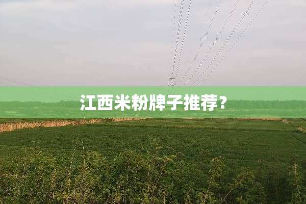 江西米粉牌子推荐？