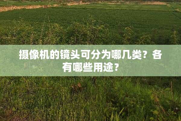**机的镜头可分为哪几类？各有哪些用途？