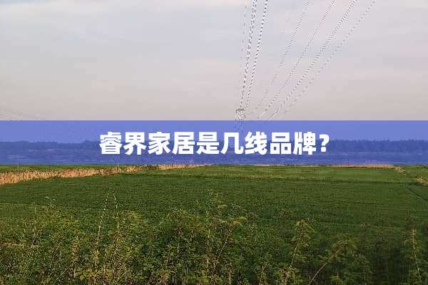 睿界家居是几线品牌？