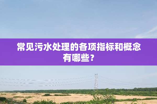 常见污水处理的各项指标和概念有哪些？