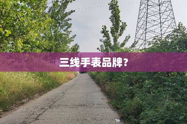 三线手表品牌？