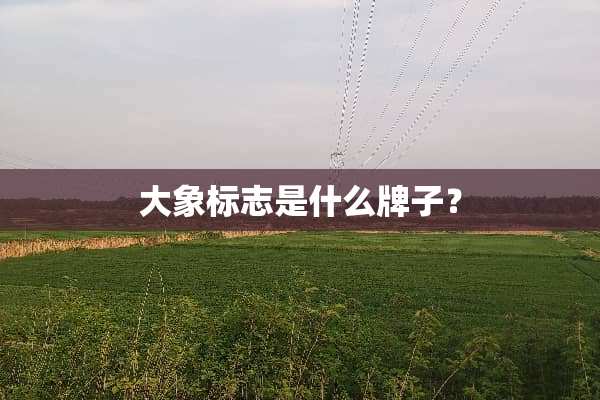 大象标志是什么牌子？
