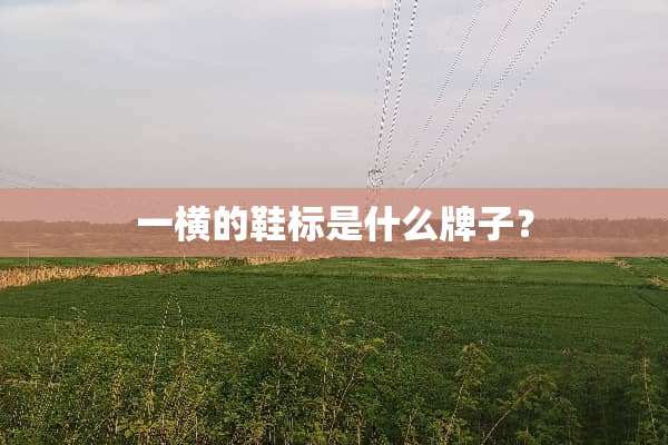 一横的鞋标是什么牌子？