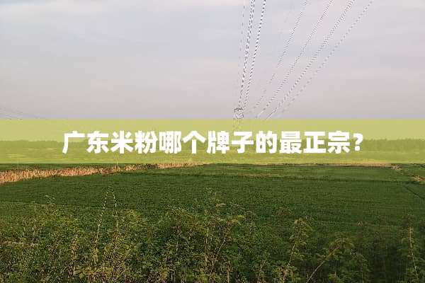 广东米粉哪个牌子的最正宗？
