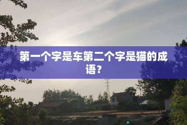 第一个字是车第二个字是猫的成语？