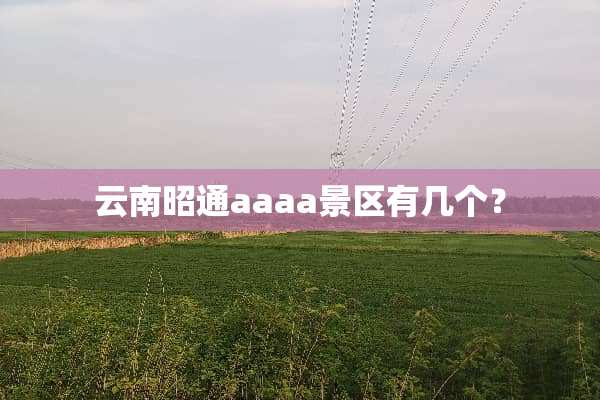 云南昭通aaaa景区有几个？