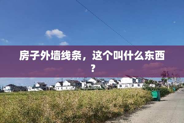 房子外墙线条，这个叫什么东西？