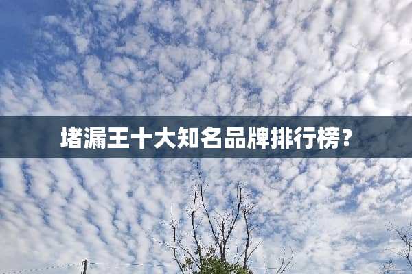 堵漏王十大知名品牌排行榜？
