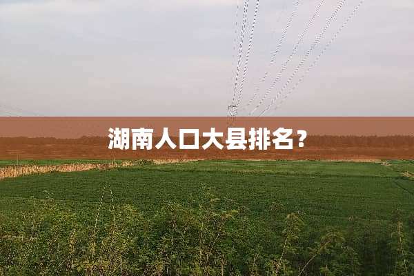 湖南人口大县排名？