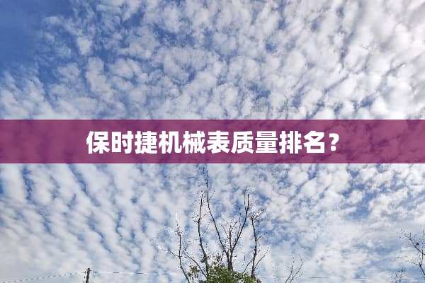保时捷机械表质量排名？