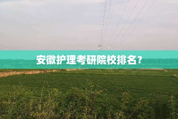 安徽护理考研院校排名？