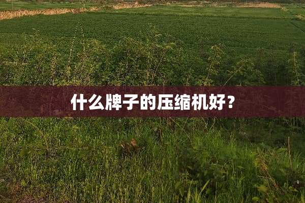 什么牌子的压缩机好？
