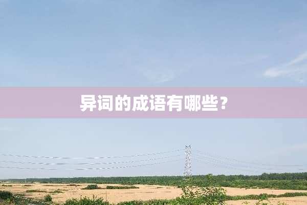 异词的成语有哪些？