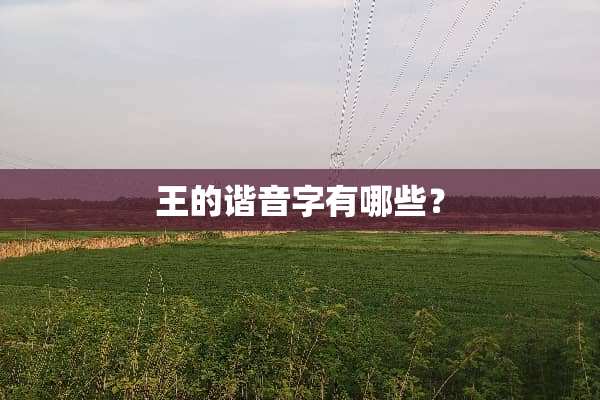 王的谐音字有哪些？
