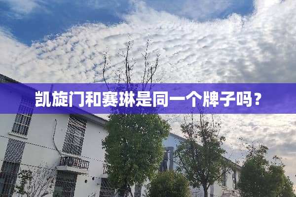 凯旋门和赛琳是同一个牌子吗？