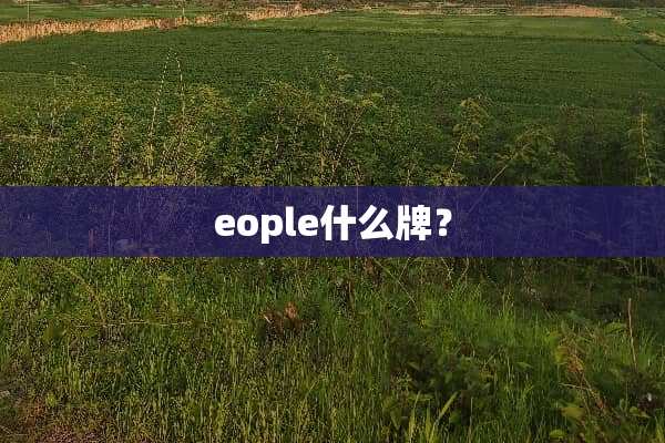 eople什么牌？