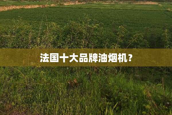 法国十大品牌油烟机？