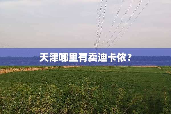 天津哪里有卖迪卡侬？