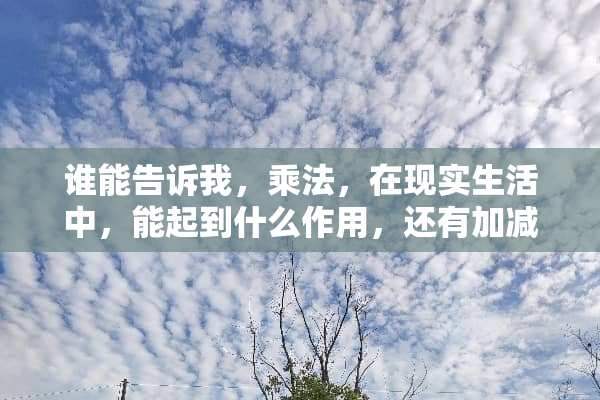 谁能告诉我，乘法，在现实生活中，能起到什么作用，还有加减法，还有除法？