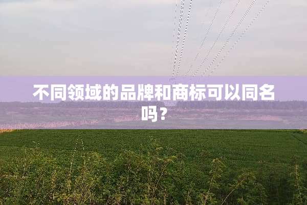不同领域的品牌和商标可以同名吗？