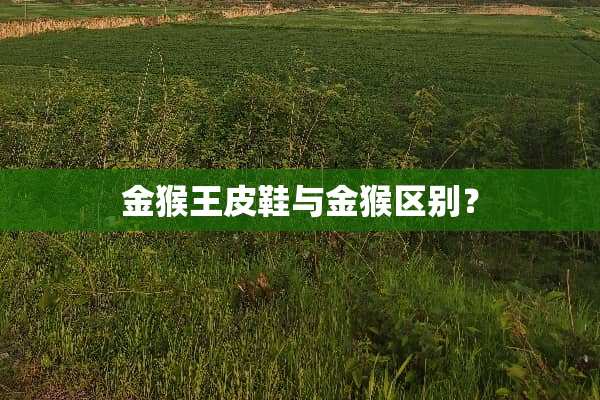 金猴王皮鞋与金猴区别？