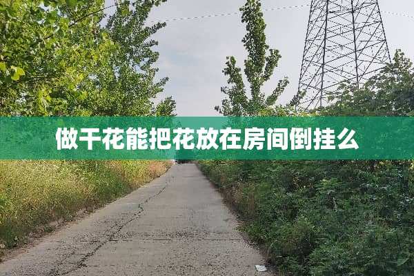 做干花能把花放在房间倒挂么
