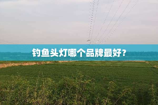 钓鱼头灯哪个品牌最好？