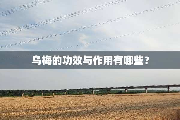 乌梅的功效与作用有哪些？
