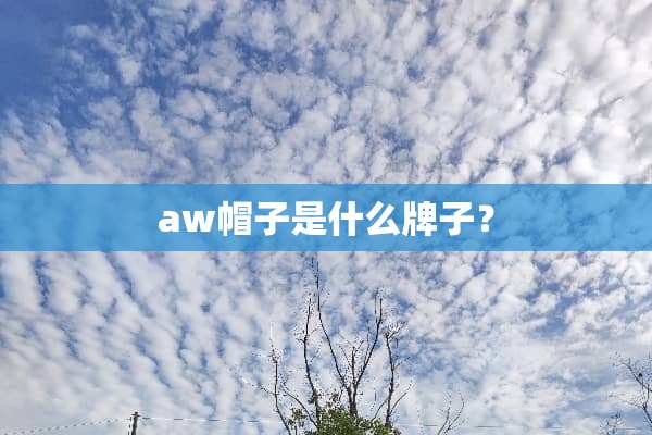 aw帽子是什么牌子？