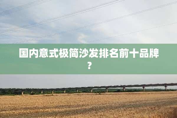 国内意式极简沙发排名前十品牌？