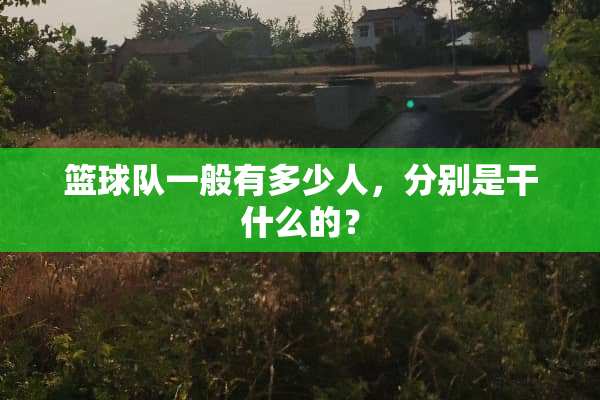篮球队一般有多少人，分别是干什么的？