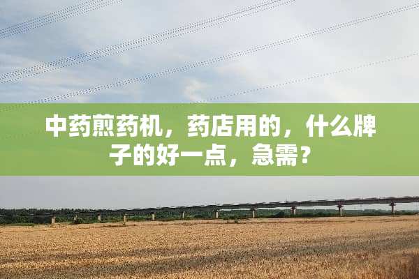 中药煎药机，药店用的，什么牌子的好一点，急需？