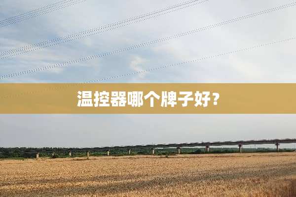 温控器哪个牌子好？