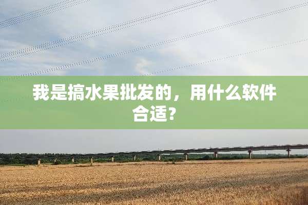 我是搞水果批发的，用什么软件合适？