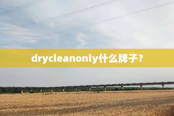 drycleanonly什么牌子？
